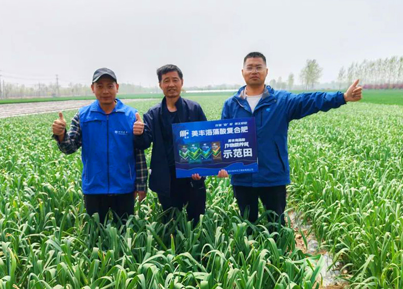 中国·yL23411永利(集团有限公司)-官方肥料助力中原蒜乡喜丰收
