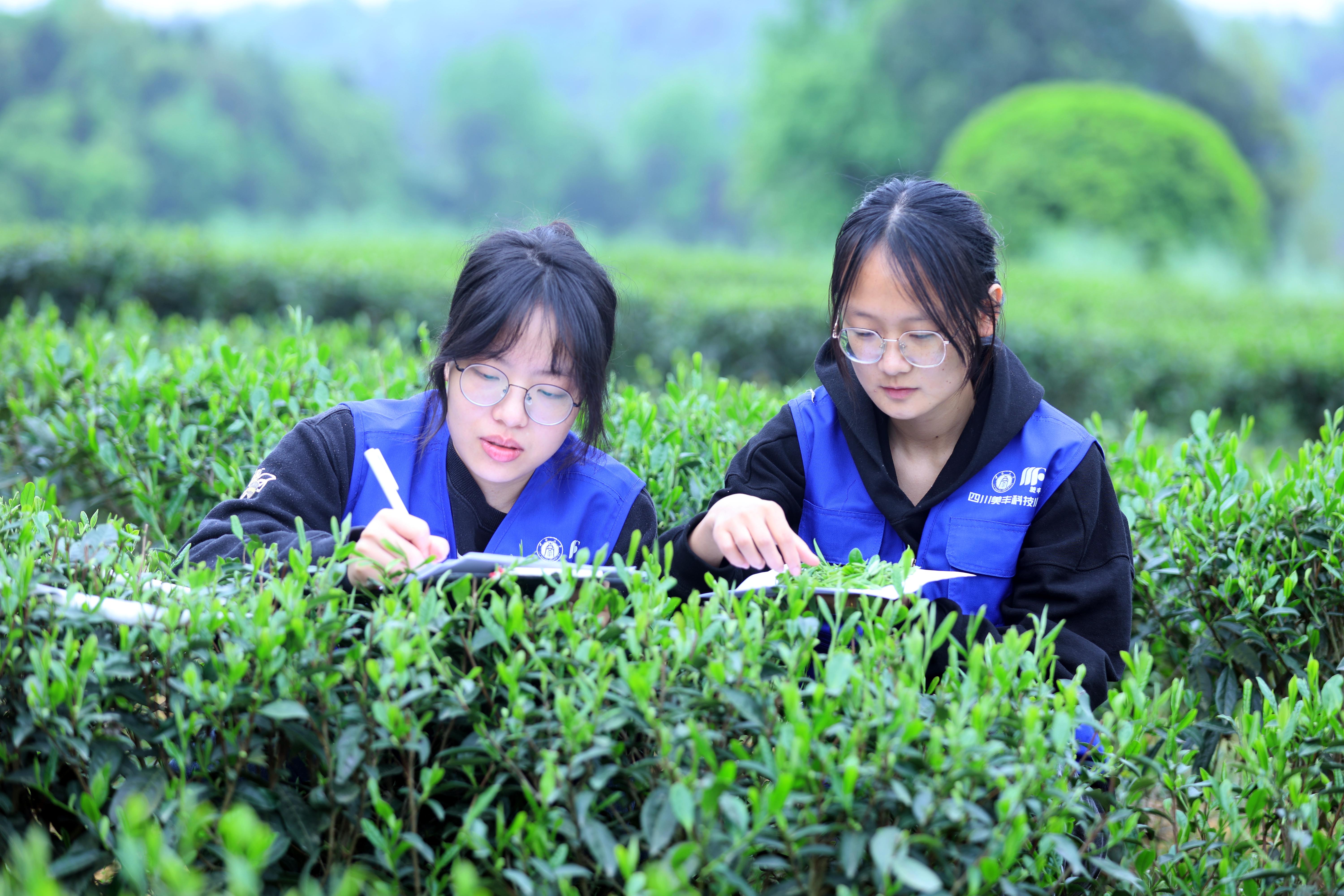 中国·yL23411永利(集团有限公司)-官方共建的两所科技小院获评优秀