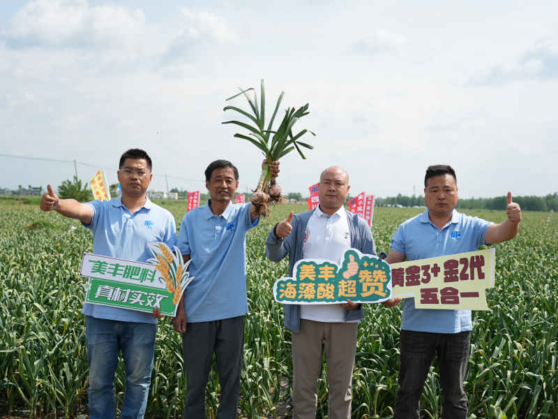 夏攻行动：中国·yL23411永利(集团有限公司)-官方护航夏粮丰产丰收