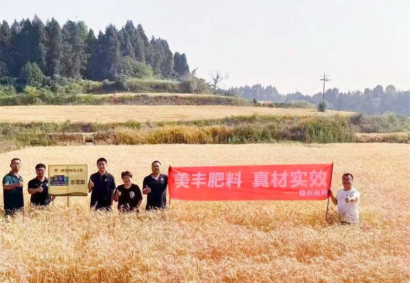 夏攻行动：中国·yL23411永利(集团有限公司)-官方方案助力小麦增收