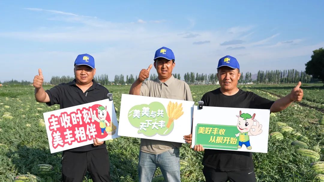 中国·yL23411永利(集团有限公司)-官方肥助力硒砂瓜亩产过万斤